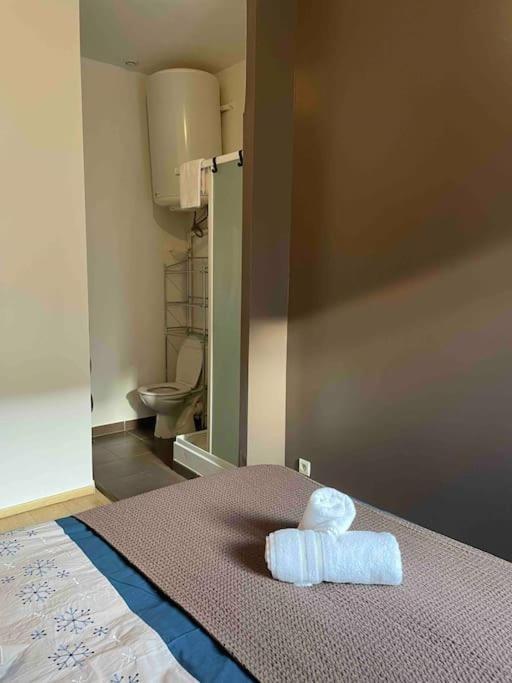 La Pirouette*Wifi*Proche Gare Sncf Apartment อาเมียงส์ ภายนอก รูปภาพ